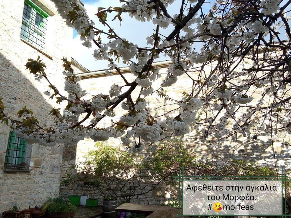 Morfeas Guesthouse Papigko Luaran gambar